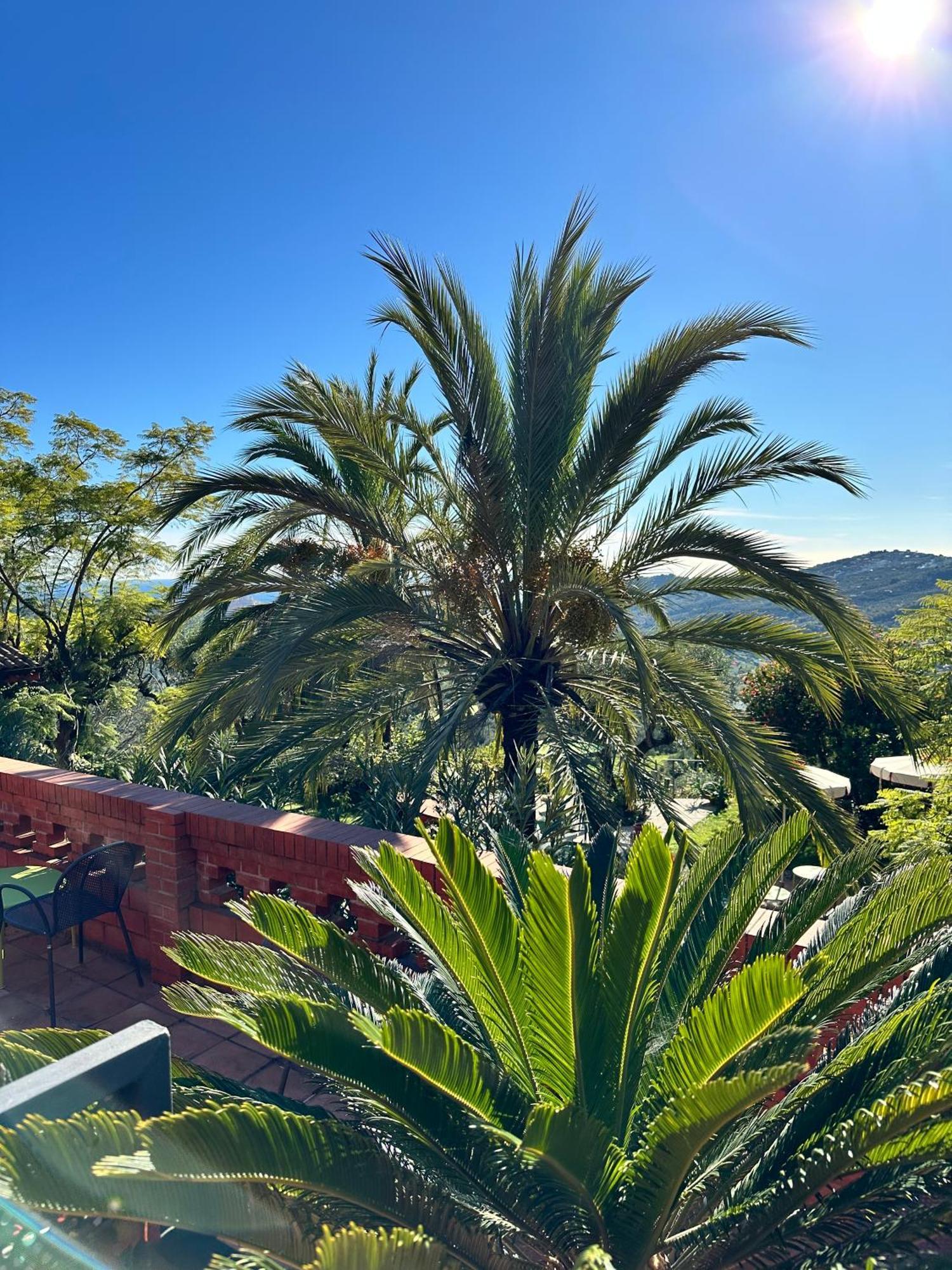 Aparthotel Relais San Damian à Imperia Extérieur photo