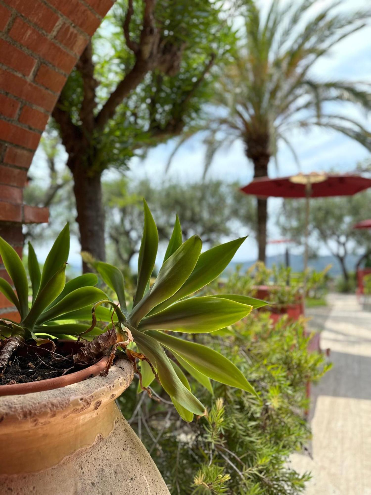 Aparthotel Relais San Damian à Imperia Extérieur photo